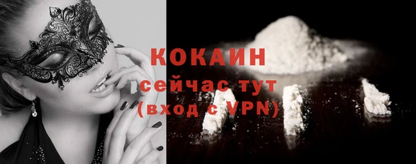 тгк Алексин