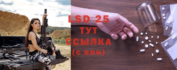 гашик Няндома