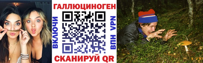 Галлюциногенные грибы Cubensis  купить закладку  Черемхово 