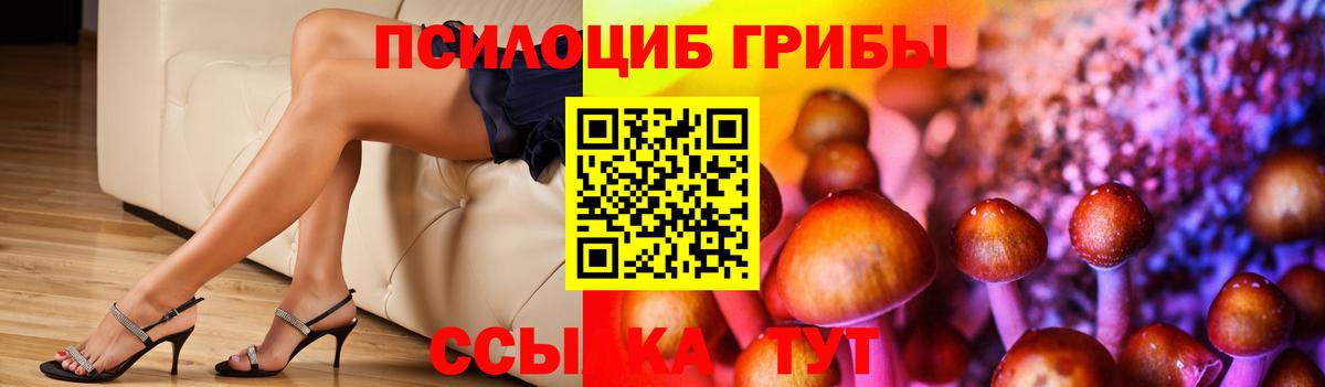Псилоцибиновые грибы ЛСД Черемхово
